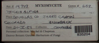 Image Associated With the Occurence